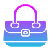 Enchanted Purses